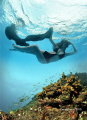 Fairly shallow... Model Catalina Freer...this photo was taken with a nikon d300s in ikelite housing, in a pool, in San Jose, then i merged it with one of my reef pictures taken in Caño Island Biological Reserve, Osa in the south pacific of Costa Rica