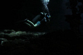 A diver in a swim through on Iron Shore Gardens, Grand Cayman. Shot with ISO 400 Shutter 250 F/4.0