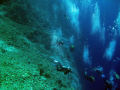 Divers' bubbles at Shaab Sharm