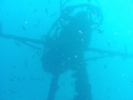 USCG DUANE