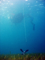 MAN AND SEA