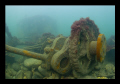 Wreck off East Coast of Yorkshire UK, Flamborough Head. A possibly world war one or two casualty, there are many in this area from Destroyers to U Boats. EOS 20d, RAW, DS125 strobe x 1, 8 inch dome port, tokina 10-17, Ikelite housing.