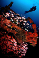 Vapor de Baixo wreck in Brazil