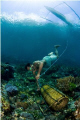 not excatly marine life but ....
