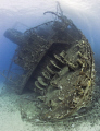 I wanted a shot of the stern of the Giannis D, but there were loads of divers on the wreck. Waiting until the last moments of the dive as everyone headed for safety stops I got this shot in peace and quiet! 
Nikon D300, 10.5mm Fisheye, Magic Filter