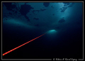 Lifeline (ice diving)