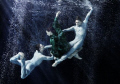 VIENNA STATE OPERA BALLET COMPANY UNDERWATER - thanks for a great show, guys!