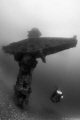 This is a large ship used during World War II to transport arms and provisions for the Italian troops who fought in Africa. The ship has a bow completely covered with sand. Check the tree from the sand like a cross on the grave of a great war hero.