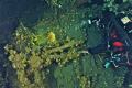 San Marco Wreck in Villasimius Sardinia Italy.
We found a very well conserved navigation light at bottom (arount 107 meters).