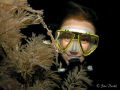 Taken using Nikon Coolpix 8400 in Ikelite housing and single Ikelite DS 125 strobe at Julian Rocks, Byron Bay