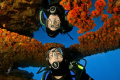 My Buddy Frédéric in a mirror in the Blue Hole, Gozo, Malta. Dived the Blue Hole a couple of times and saw the mirror the dive before...but had no model.