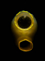 Sea Squirt