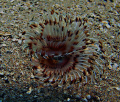 image taken in Larak island in south of Iran.