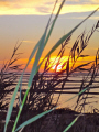 Sunset on factory of marine salt on Mothia Marsala TP Italy