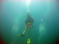 confidant diver
