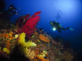 Couleurs de laméditerranée......