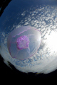 Natural Satellite around the Earth