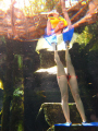 Strange creatures come to our Cenotes