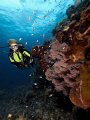 taken at kubu, 2 km west of Bali with EPL-1 in 10bar housing, YS-01 strobe.