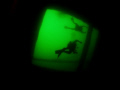 View up from inside the Hispania wreck