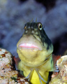 Hey, what's up?