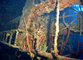 Hilma Hooker- Bonaire