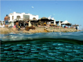 dahab always full off fish