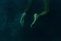 Go to www.onaclov.net to see the complete series of work.

These images were captured on Lizard Island.