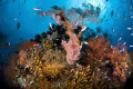 Gili meno, Indonesia, d200, tokina 10-17