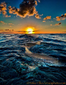 Lemon Sharks at Sunset on the Little Bahamas bank.