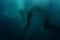 Underwater Abstraction was taken on Lizard Island for an exhibition at ANCA