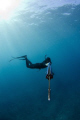Freediver lines up his next shot...