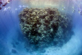 world's end.... againcourt reef GBR