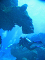 Where divers come from. . . the diver spout.