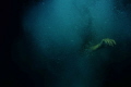 Went for a dive on Lizard to capture some sea slugs. I took this when the light was interesting.