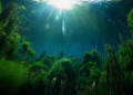 Chidro River