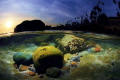 in the shallows laguna beach sunset