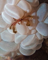 Had to cram my head and camera into a crevice without getting stuck on a bunch of urchins behind my head to get this orangutan crab on some bubble coral, but I got the shot.