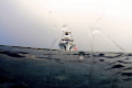 Dive boat