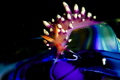 nudi on coulored glass, north sulawesi