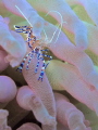 Taken in Bonaire