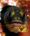 face of a carnival
