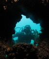 saw my buddy in through a hole in the wreck.