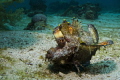 Red Sea Walkman at The Canyon, Dahab. Picture has been cropped.