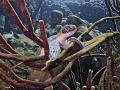 swimming at the top of the reef  i found the turtle hangin' in the sponges...