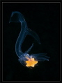 02.06.2012 - juvenil 