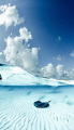 Blue Split, The Sandbar, Grand Cayman
Nikon D700, Tokina 10-17 11mm,  1/250 F.11 ISO 200, Natural light