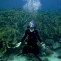 Buddha Diver