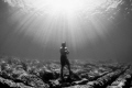 Free diver
Canon 5D Mark II & Sea&Sea MDX 5D MK II
Canon 8-15mm f4/L Fisheye