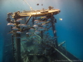 Meeting in the Kittiwake
